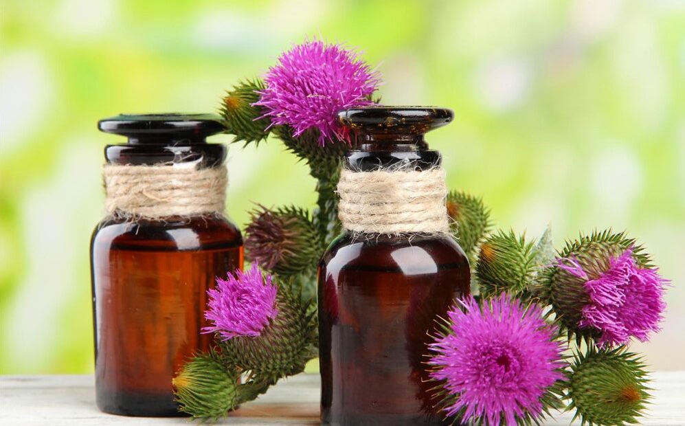 A cosa serve l'olio di cardo mariano?